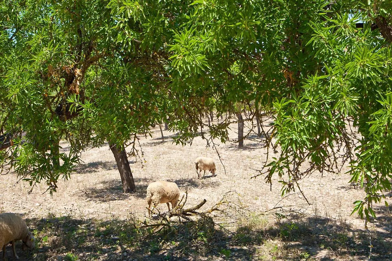 Farm stay S'Hort De Son Caulelles - Adults Only Villa Marratxi Spain