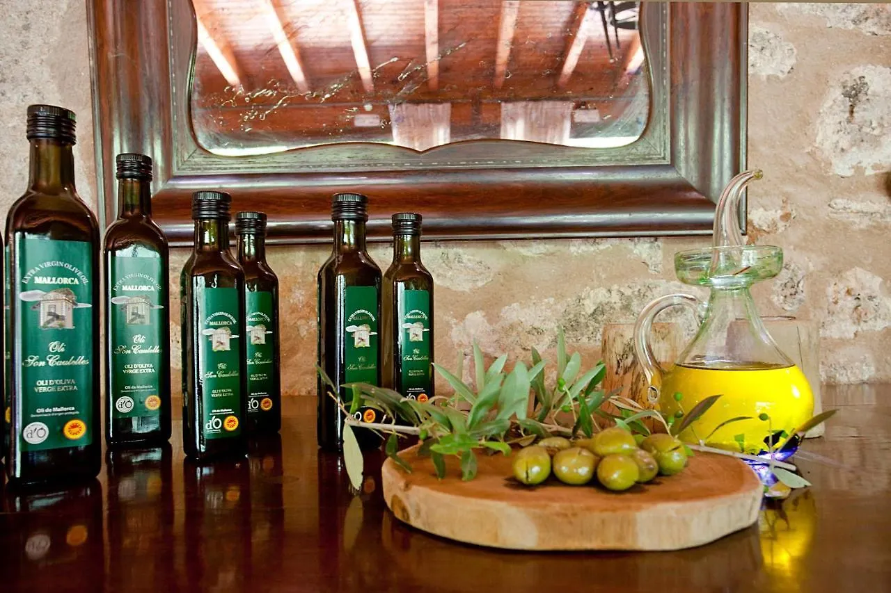 S'Hort De Son Caulelles - Adults Only Villa Marratxi Farm stay