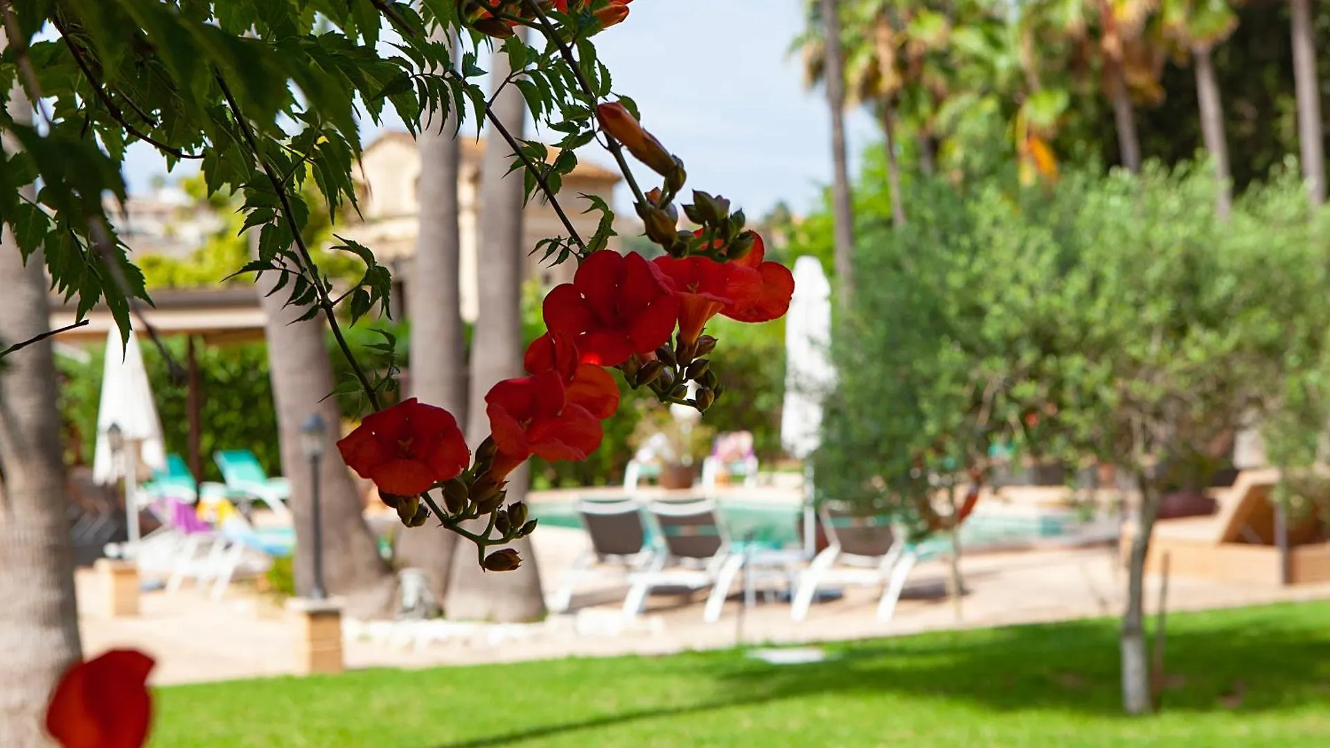 S'Hort De Son Caulelles - Adults Only Villa Marratxi