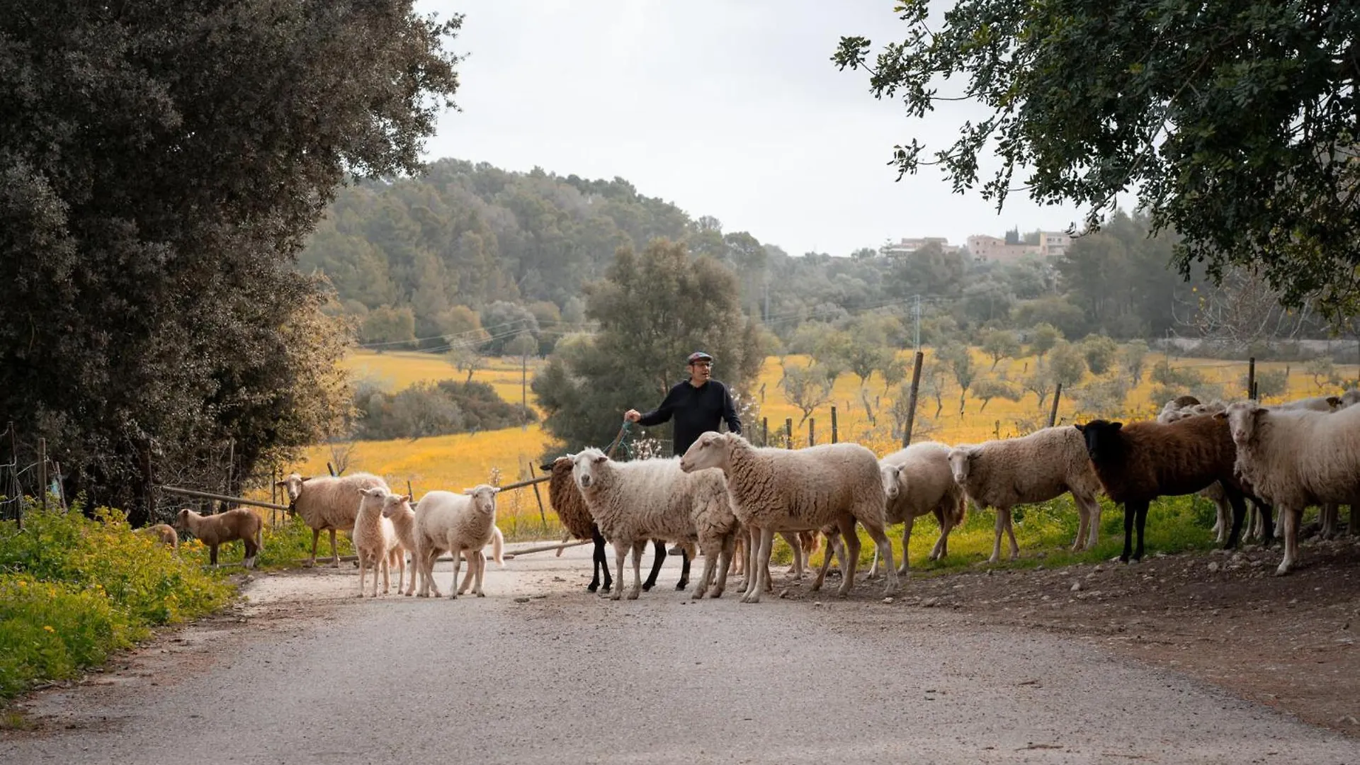 S'Hort De Son Caulelles - Adults Only Villa Marratxi Farm stay