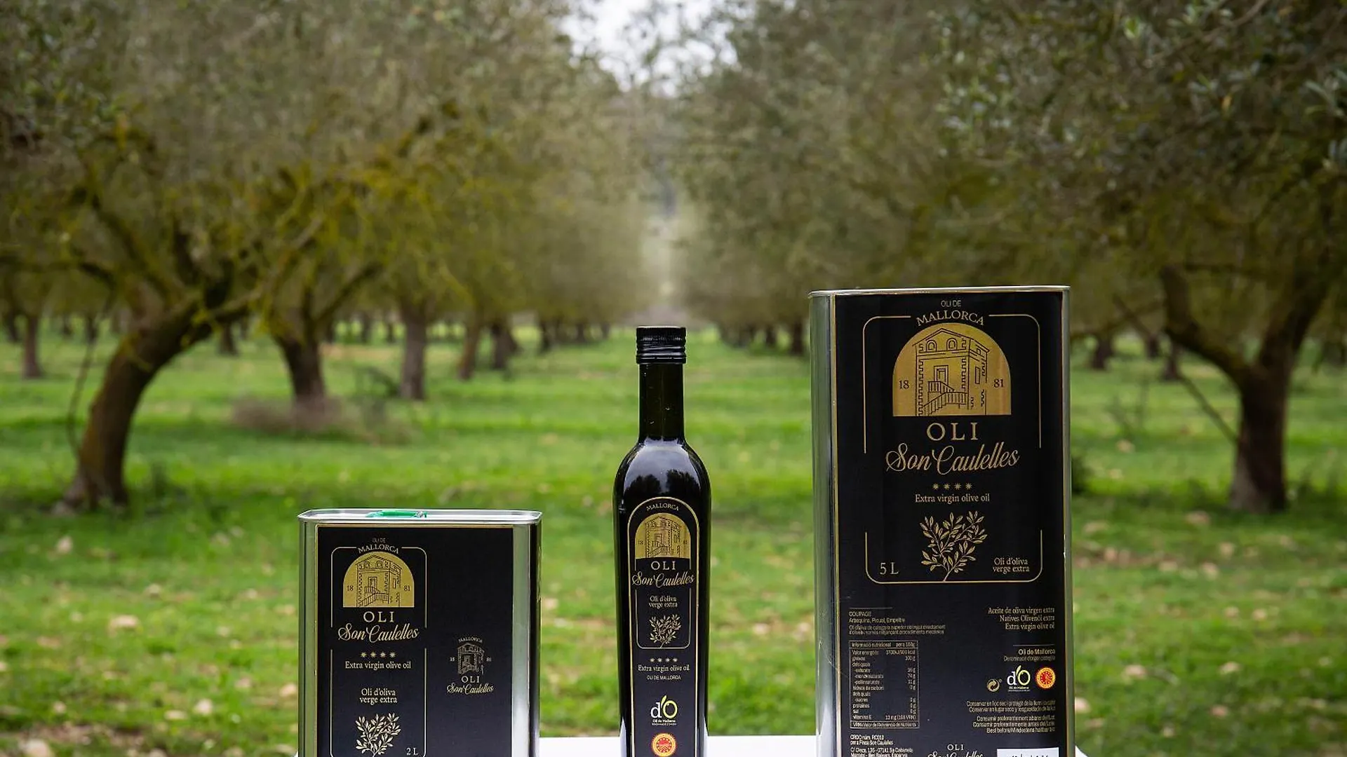 S'Hort De Son Caulelles - Adults Only Villa Marratxi 0*,  Spain