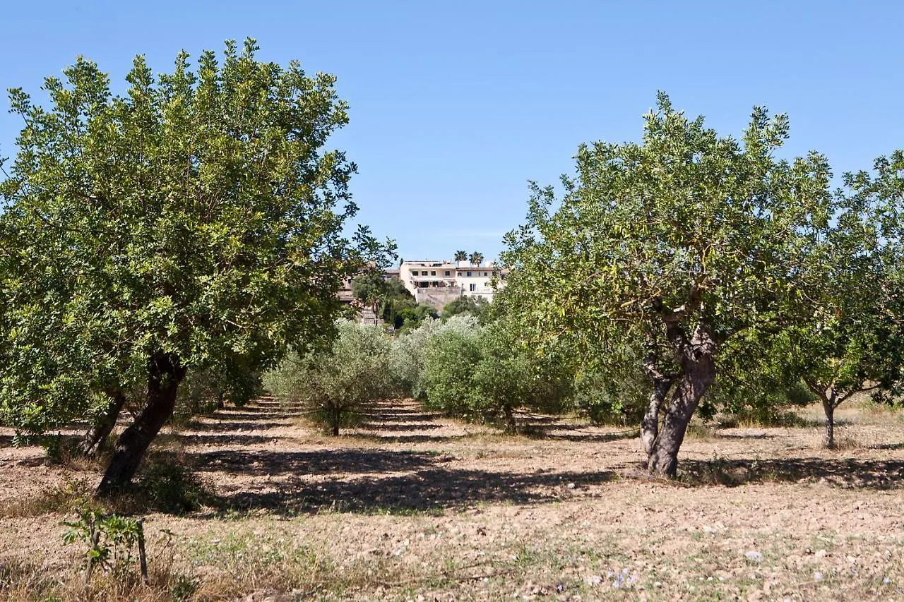S'Hort De Son Caulelles - Adults Only Villa Marratxi Spain